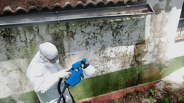 Top rated local Mold Remediation specialists in Thorndale, PA